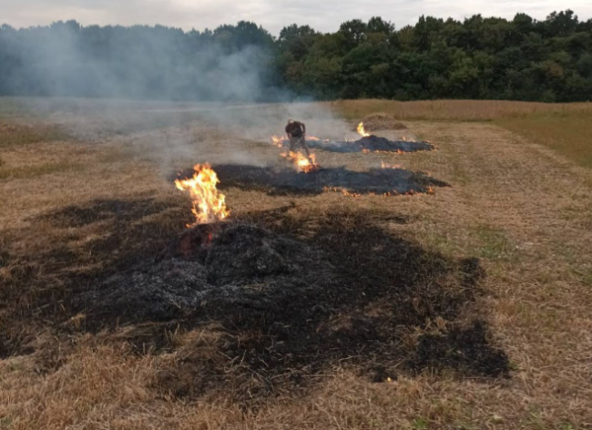 На Рівненщині палії трави втікали від екоінспекторів і поліцейських