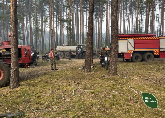 На Рівненщині, попри дощі, у лісах виникає тління та невеликі загоряння