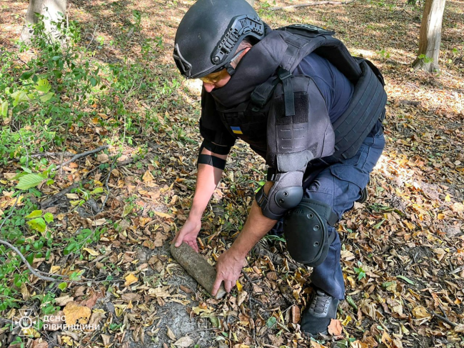 У лісовому масиві на Рівненщині знайшли 2 артилерійських снаряди