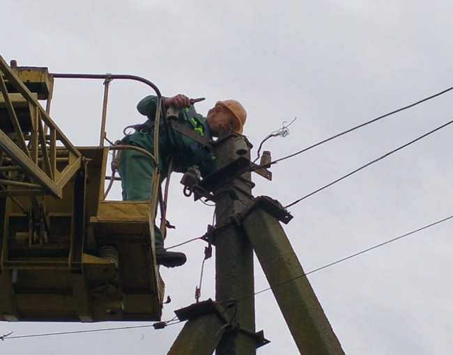 На Рівненщині енергетики впорядковують гнізда лелек (ФОТО)