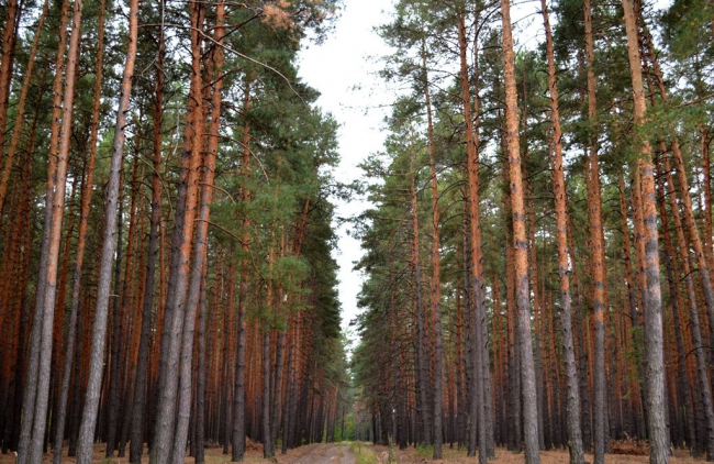 Фото ілюстративне