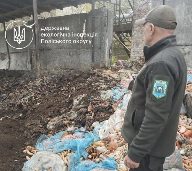 Екоінспектори з`ясовують обставини зберігання мертвого лева на території ветсанзаводу в Костополі