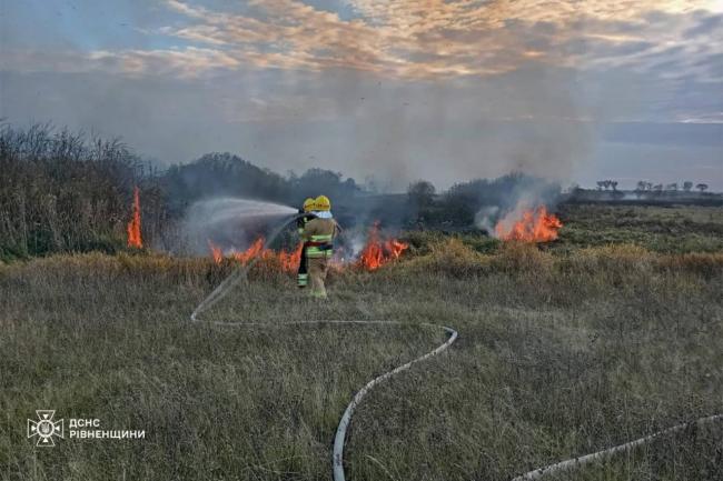 Неподалік села на Сарненщині горіла суха трава