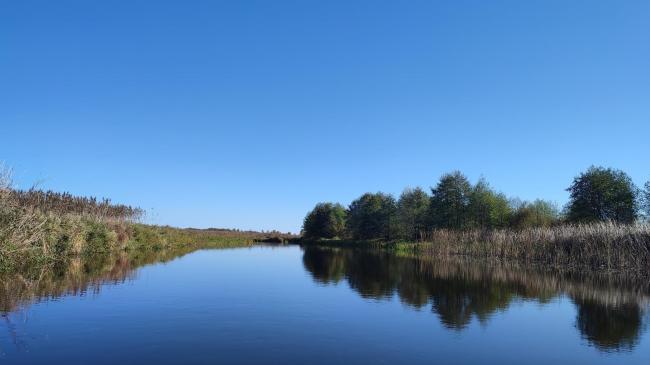 У нацпарку на Рівненщині показали мальовничі світлини осінньої Прип`яті