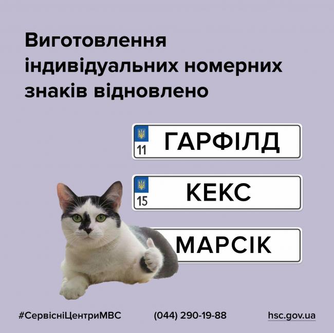 Автомобілісти Рівненщини можуть замовити індивідуальні номерні знаки