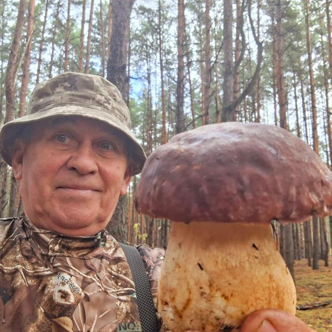 Жителі Рівненщини серед снігу знаходять боровики та польські (ФОТО)