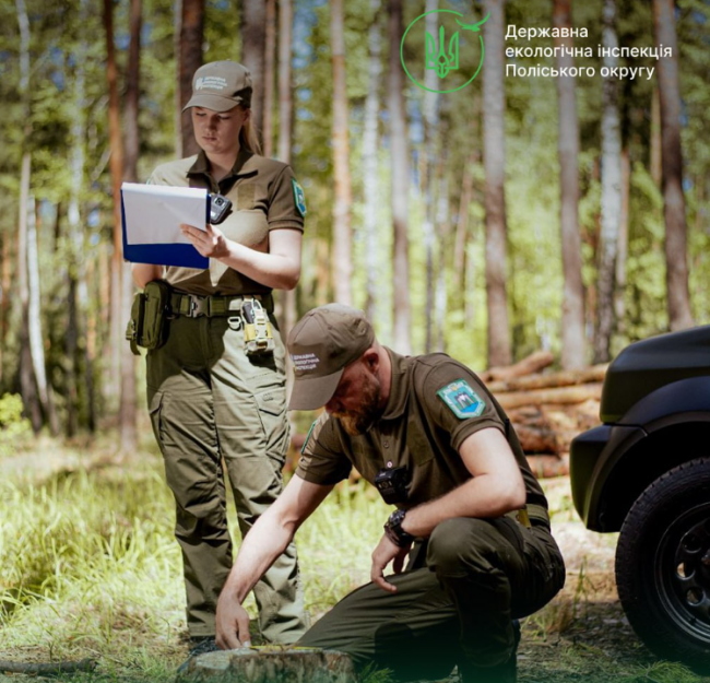 Міськрада на Рівненщині сплатить майже 5 млн грн через зрубані дерева