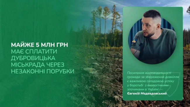 "Це вже друга судова справа": на Рівненщині знову домоглися виплат мільйонних збитків за вирубку лісу