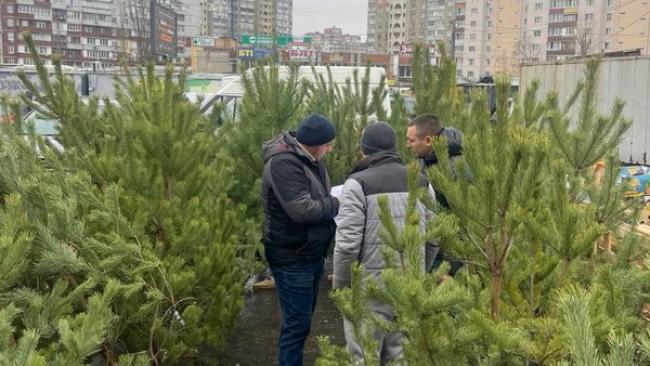 Де у Рівному можна купити новорічну ялинку: перелік місць