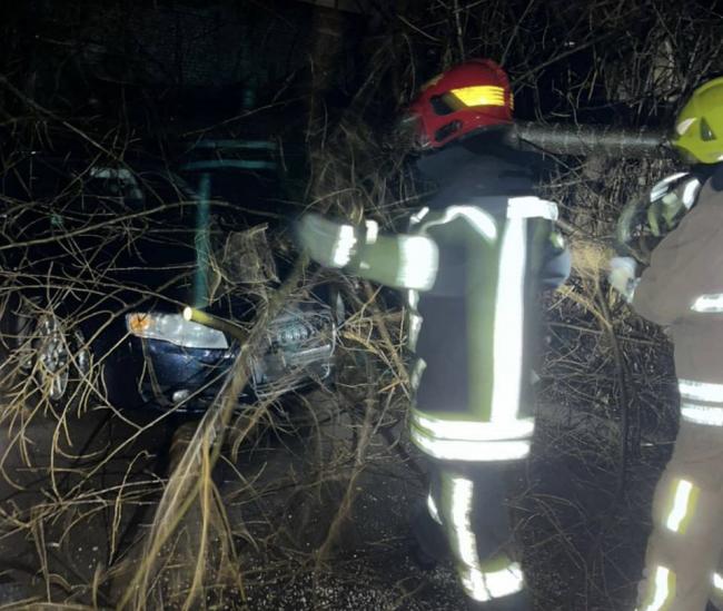 У Рівному на Відінській дерево впало на легковик