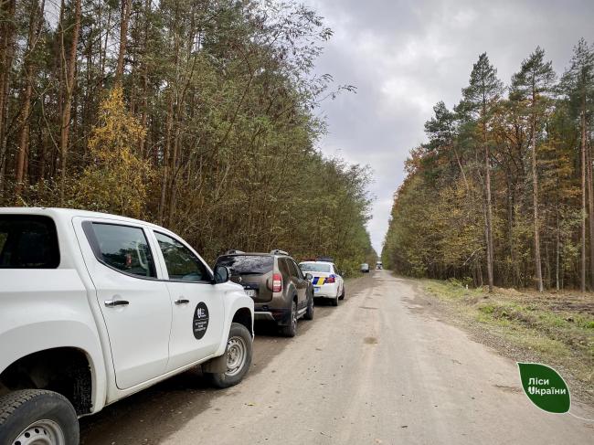 На Рівненщині вилучили трактор із незаконною деревиною