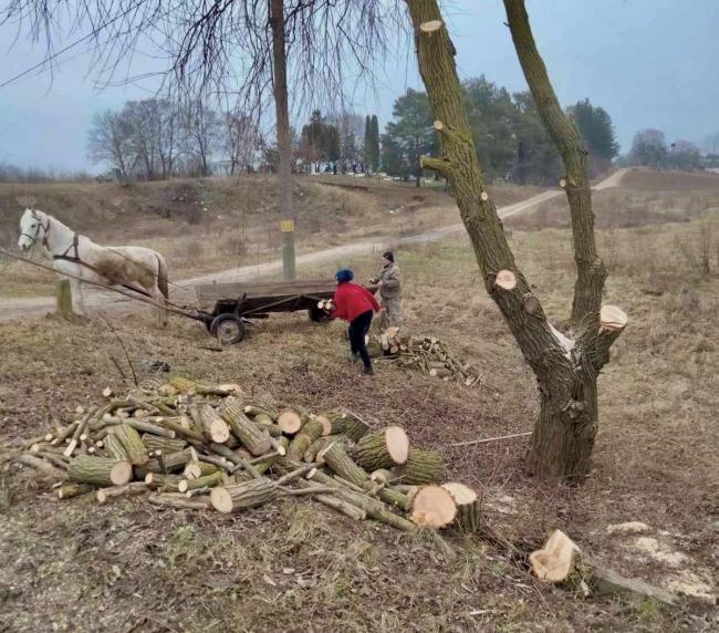 Обрізка чагарників та обкошування сухостою: на Гощанщині готуються до весни