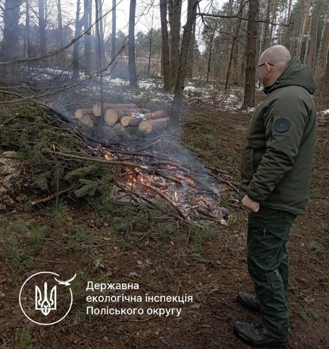 Палія, якого виявили у лісі на Рівненщині, оштрафували на понад півтори тисячі гривень