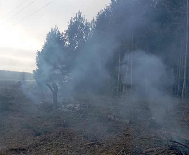 На Рівненщині палія, якого спіймали біля лісу, оштрафували на понад 1500 грн