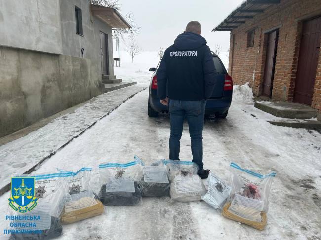 На Рівненщині депутата та його спільників покарали за незаконний видобуток бурштину