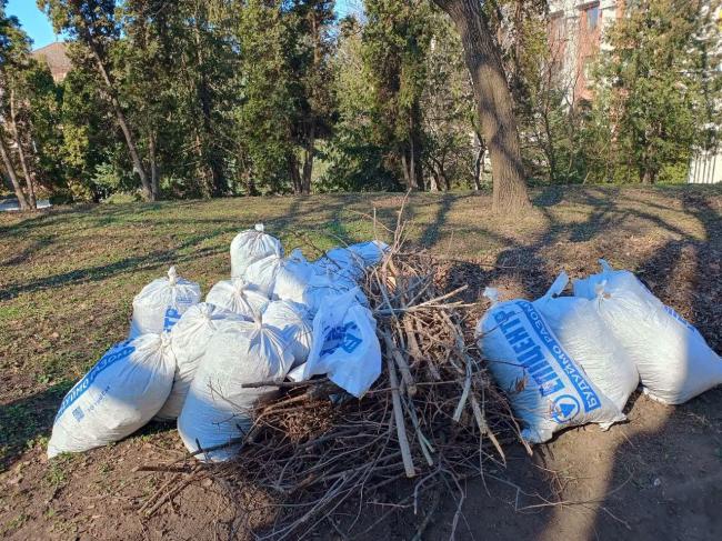 У Рівному працівники Департаменту соцполітики організували толоку