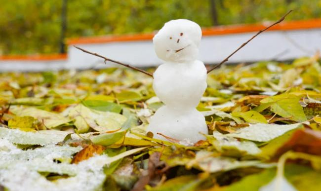 Синоптики прогнозують сніг, ожеледицю та туман у суботу на Рівненщині